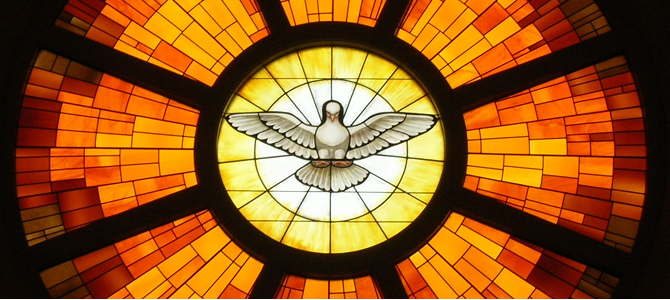 White dove over yellow, orange, red and brown stained glass